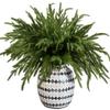 Purple Star 1N Extra-Long Artificial Norfolk Pine Branches for Christmas, 15-Pack view 1