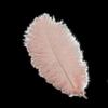 1 Pc. Colored Ostrich Feathers, 20–50 cm, Rouge Pink, 25–30 cm view 1
