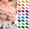 1 Pc. Colored Ostrich Feathers, 20–50 cm, Rouge Pink, 25–30 cm view 2