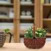 Happyyami Woven PP Plant Basket view 3
