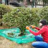Landscape Trimming Tarp with Four Corner Loops view 4
