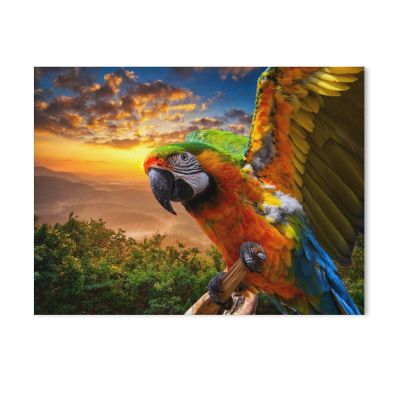 Classic 1000-Piece Puzzle, Macaw at Sunset, 50 x 70 cm