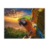 Classic 1000-Piece Puzzle, Macaw at Sunset, 50 x 70 cm view 1