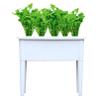 Raised Planter Box with Legs for Vegetables, Flowers, and Herbs view 1