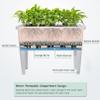 Raised Planter Box with Legs for Vegetables, Flowers, and Herbs view 4