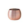 WANGHAI-666 Luxurious Brushed Gold Green Hydroponic Phalaenopsis Ceramic Planter (Rose Gold, S) view 1