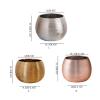 WANGHAI-666 Luxurious Brushed Gold Green Hydroponic Phalaenopsis Ceramic Planter (Rose Gold, S) view 2