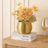 WANGHAI-666 Luxurious Brushed Gold Green Hydroponic Phalaenopsis Ceramic Planter (Rose Gold, S) view 3