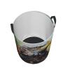 Eagle Foldable Waterproof Laundry Basket with Handles view 3