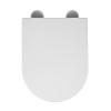 Giural D-Shaped Toilet Seat with Soft Close and Quick Release, Black view 1
