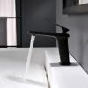 Single-Handle Brass Bathroom Sink Faucet view 4