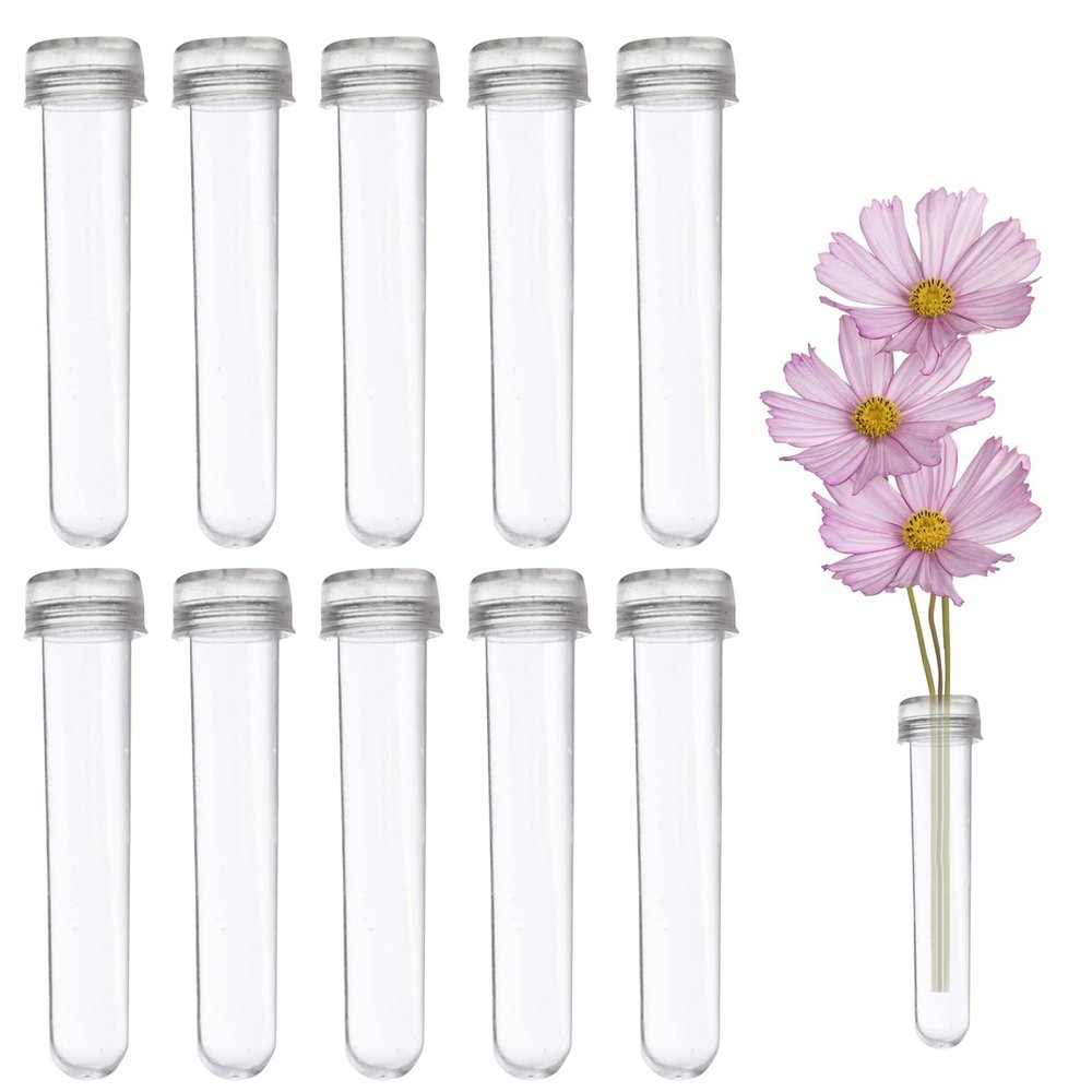10-Pack Clear Plastic Flower Tubes with Lids