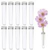 10-Pack Clear Plastic Flower Tubes with Lids view 1