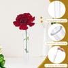 10-Pack Clear Plastic Flower Tubes with Lids view 3