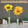 10-Pack Clear Plastic Flower Tubes with Lids view 4