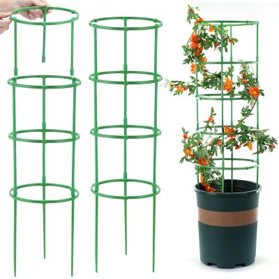 Tomato Plant Support, 100-Piece Adjustable Trellis Set for Tomatoes and Cucumbers