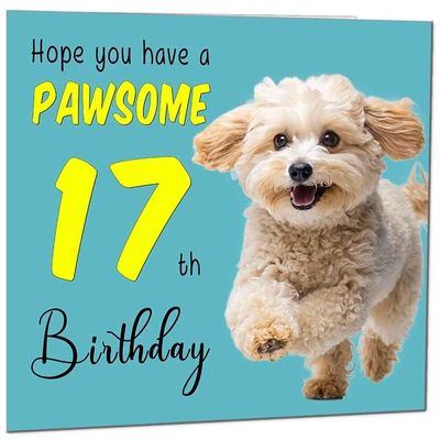 17th Birthday Card for Men and Women – Dog Paw Design