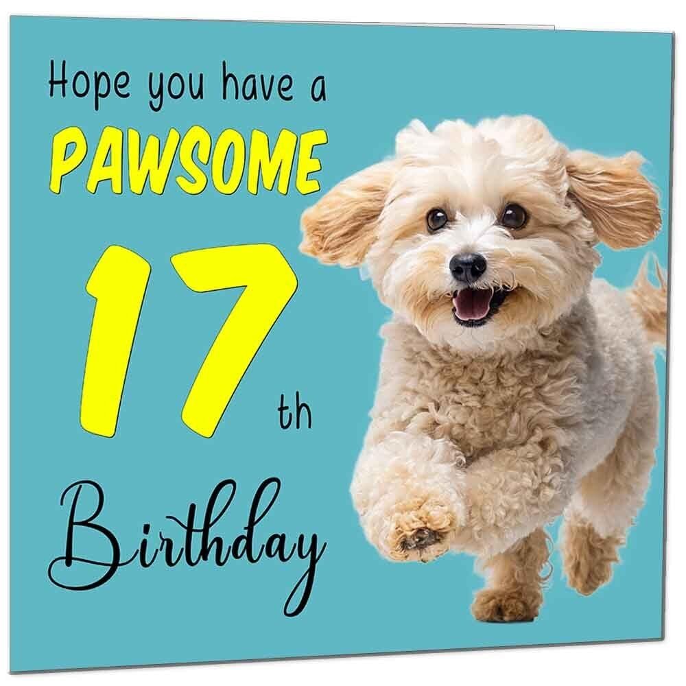 17th Birthday Card for Men and Women – Dog Paw Design