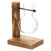 PATIKIL Heart-Shaped Hydroponic Plant Vase with Wooden Stand view 1