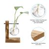 PATIKIL Heart-Shaped Hydroponic Plant Vase with Wooden Stand view 3