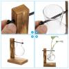 PATIKIL Heart-Shaped Hydroponic Plant Vase with Wooden Stand view 4