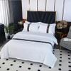 Rozhuhro Queen Bedding Set, 4-Piece White Hotel-Quality Bedding Set, Soft Thickened All-Season Brushed Bedding with Sheet and Pillowcases, Black, Twin XL view 2