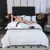 Rozhuhro Queen Bedding Set, 4-Piece White Hotel-Quality Bedding Set, Soft Thickened All-Season Brushed Bedding with Sheet and Pillowcases, Black, Twin XL view 3