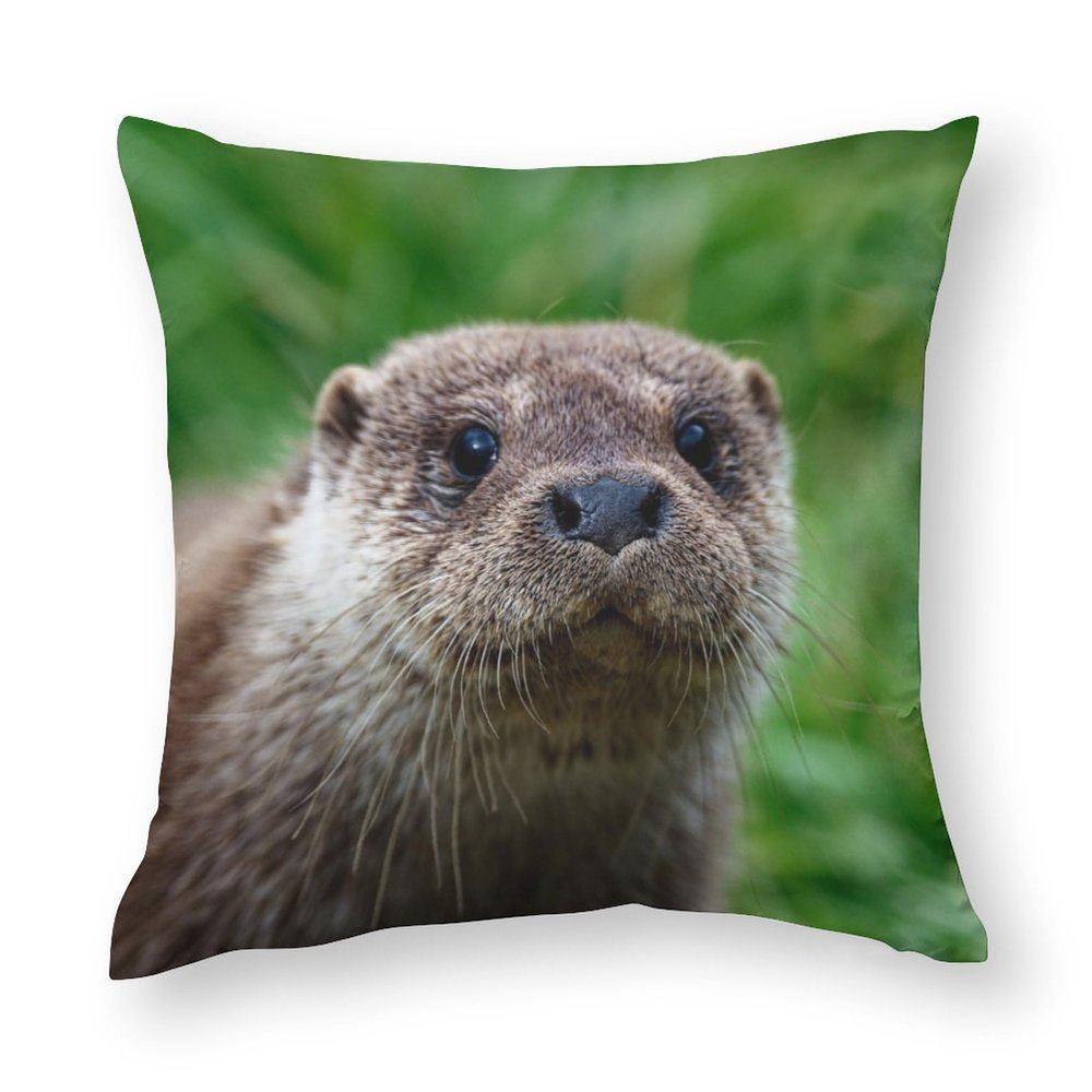 Zhimahou Eurasian Otter Grass Portrait Pillow Cover, 55 x 55 cm