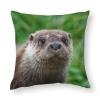 Zhimahou Eurasian Otter Grass Portrait Pillow Cover, 55 x 55 cm view 1