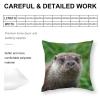 Zhimahou Eurasian Otter Grass Portrait Pillow Cover, 55 x 55 cm view 2