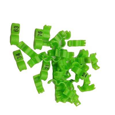 20 Canary Clip Leg Bands, 4 mm Green