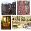 OTIGA Camouflage Net for Hunting, Camping, Gardening and Parties, Sun and Privacy Screen, 1 x 6 m view 4