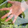 Heavy-Duty Transparent PVC Tarp, 0.35 mm Thick, Waterproof, Windproof, Dustproof, Tear-Resistant, with Grommets, for Greenhouses, Balconies and Gardens (4 x 4 m/13.1 x 13.1 ft) view 4