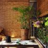 Bamboo Roller Blind for Indoor Windows, Privacy Shade, No Drilling, Natural, 100 x 210 cm view 2