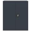Willood Steel Filing Cabinet, Anthracite, 90 x 40 x 105 cm view 4