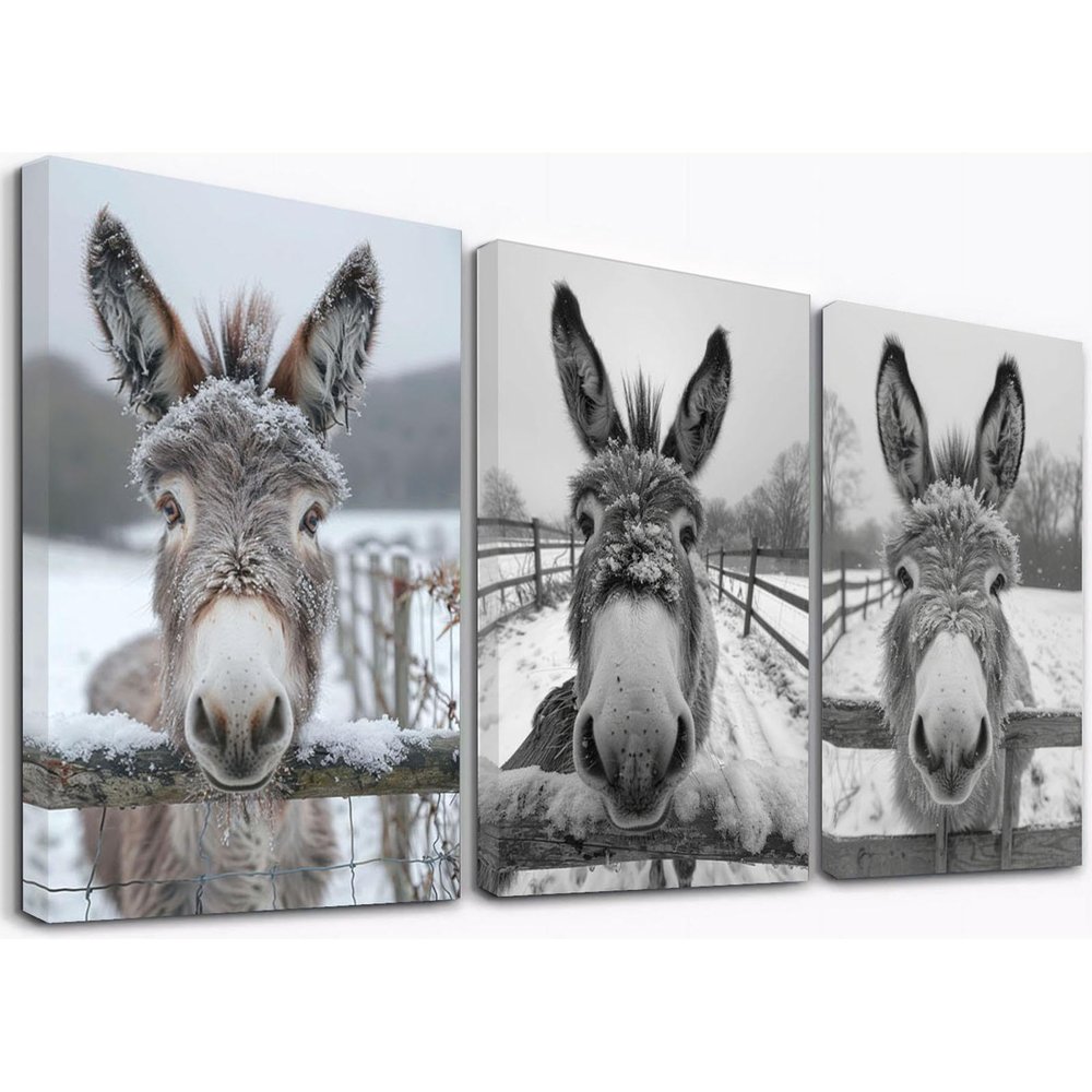 WQBQKKX Set of 3 Animal Canvas Prints, Cute Funny Animals, Black and White, 20 x 30 cm Each, Framed