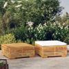 2-Piece Solid Teak Patio Lounge Set with Sofa view 1
