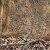 ZIUSFAC 300D Camouflage Netting, UV-Resistant Shade Net for Hunting, Photography & Camping (1.5 × 3 m) view 3