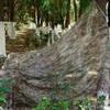 ZIUSFAC 300D Camouflage Netting, UV-Resistant Shade Net for Hunting, Photography & Camping (1.5 × 3 m) view 4