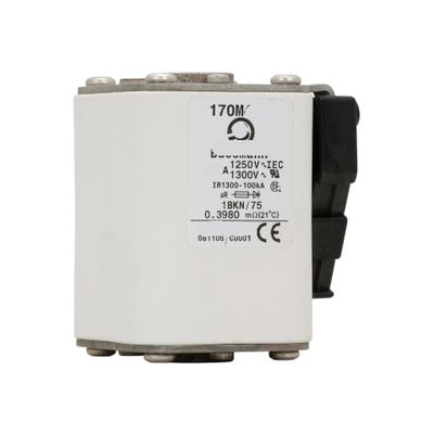 170M4389 Fuse, Cube Series, European Standard, Flat-End Installation