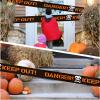 Generic Halloween Warning Tape, Spooky Signs, Party Props view 4