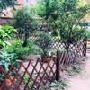 Wooden Fence/Telescopic Guardrail/Lattice Fence/Garden Trellis, Decorative Fence/Pet Fence/Barrier (200 x 90 cm) Stabilize view 3