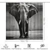 LMNGH Elephant Shower Curtain Set, 4-Piece, Black and White, 72 x 72 in view 2