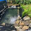 Black HDPE Pond Liner, Tear-Resistant Fish Pond Membrane, 1 x 2.0 m to 9.5 x 10.0 m (4 x 8.0 m) view 4