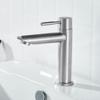 Brushed Black Single-Cold Basin Faucet for Balcony, Mop Sink or Pool, Single-Hole, 4-Point Universal, Straight Spout, Short Brushed Model view 1