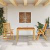 qohoio 3-Piece Garden Dining Set, Table and Chairs, Solid Acacia Wood - 3295255 view 1