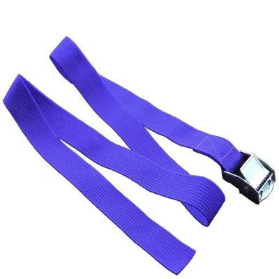 25 mm x 1 m Ratchet Tie-Down Strap, Blue