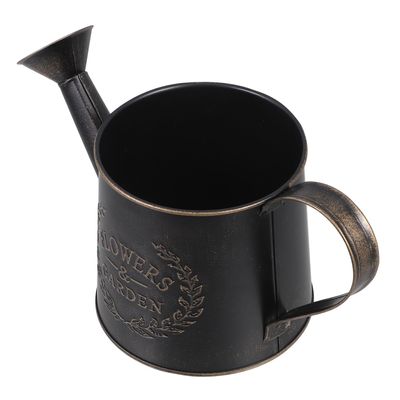 Milisten Small Black Iron Watering Can for Flowers and Succulents