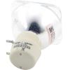 HMLTD BL-FU260A Replacement Projector Lamp, UHP 260/220W view 1
