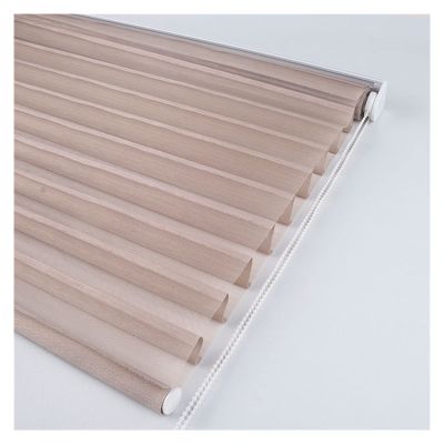 Double-Layer Roller Blinds, Light-Filtering Zebra Shades for Day and Night, B, 110 x 180 cm